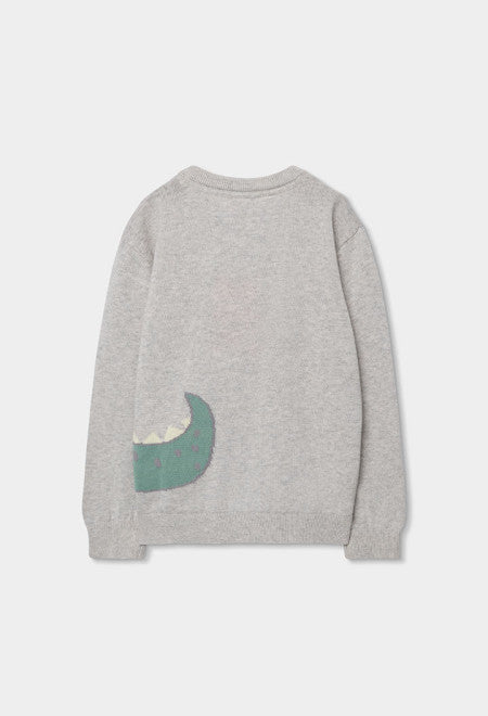 Jersey tricotosa de niño