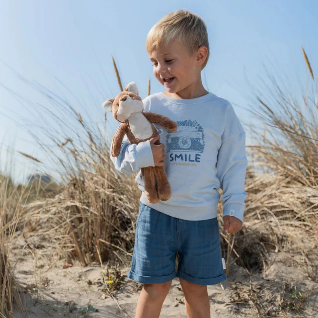 Sweater Light Blue — Little Dutch